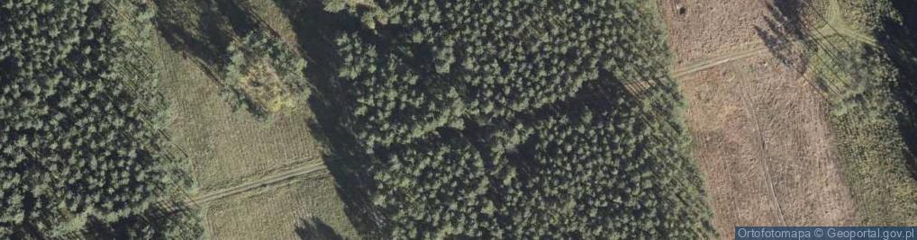 Zdjęcie satelitarne Poniemieckie zbiorniki na paliwo