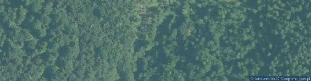 Zdjęcie satelitarne Potok Głębieniec w Kaczynie