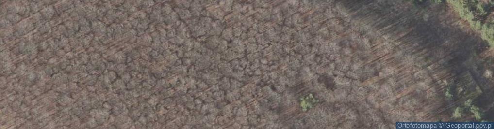 Zdjęcie satelitarne Pozostałości dawnej eksploatacji rud Pb, Ag, Zn w Reckim Lesie