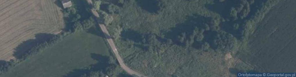 Zdjęcie satelitarne Pozostałości młyna