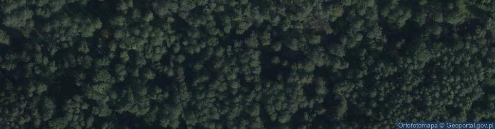 Zdjęcie satelitarne Progi skalne - wodospady rz. Sopot w Hamerni