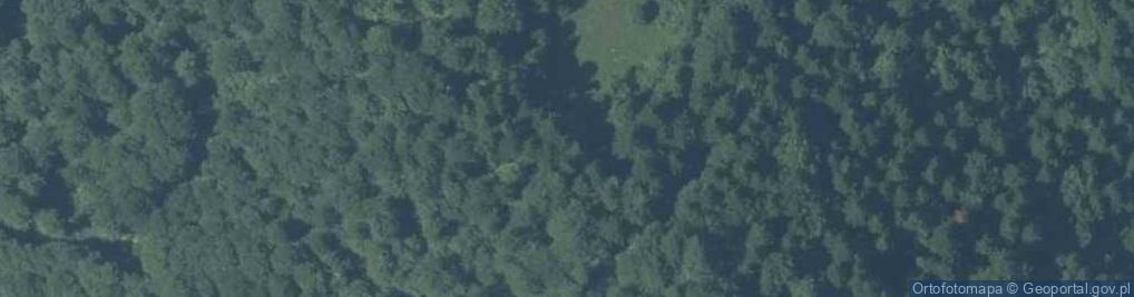 Zdjęcie satelitarne Przełęcz Sosnów