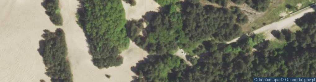 Zdjęcie satelitarne Pustynia Siedlecka
