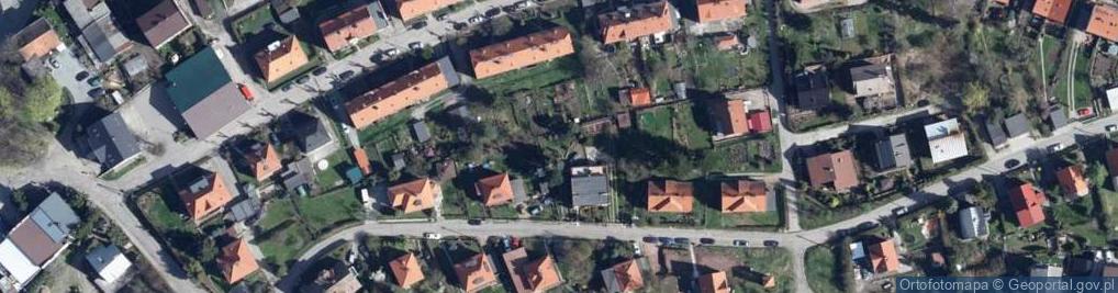 Zdjęcie satelitarne Ratusz Miejski - ekspozycja kopii szkieletu płaz