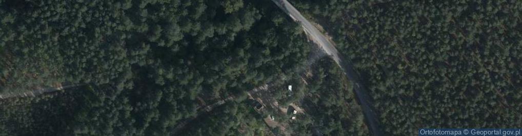 Zdjęcie satelitarne Rezerwat Czartowe Pole