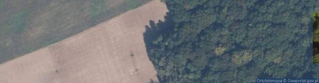 Zdjęcie satelitarne Rezerwat Jezioro Mądrzechowskie