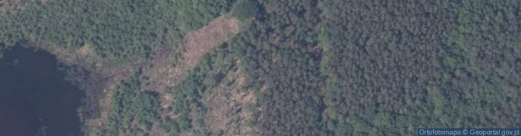 Zdjęcie satelitarne Rezerwat Łuniewo