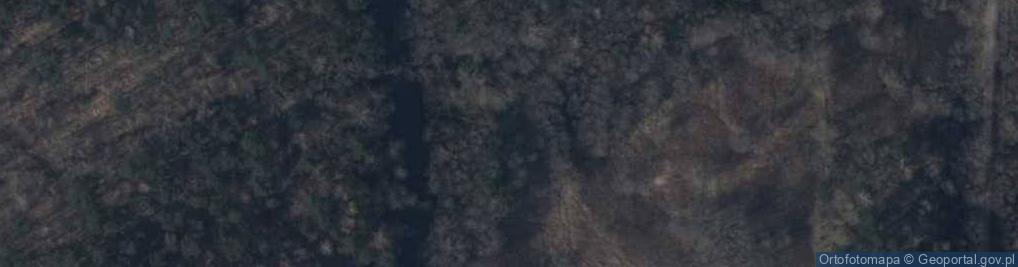 Zdjęcie satelitarne Rezerwat Piaśnickie Łąki