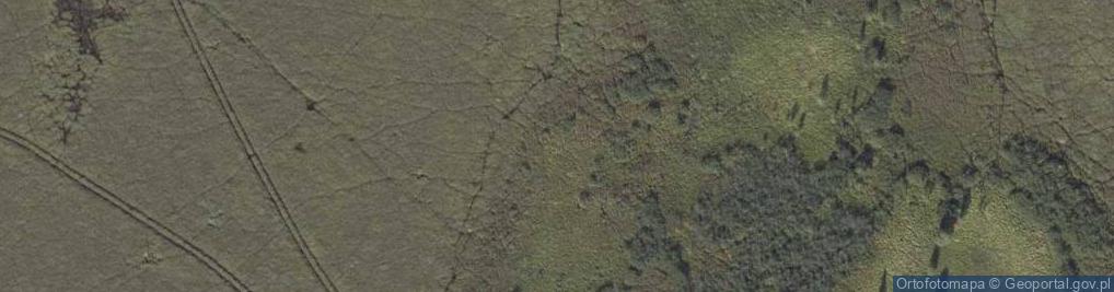 Zdjęcie satelitarne Rezerwat Przyrody Torfowisko Roskosz