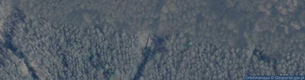 Zdjęcie satelitarne Rezerwat torfowiskowo-faunistyczny Olszanka