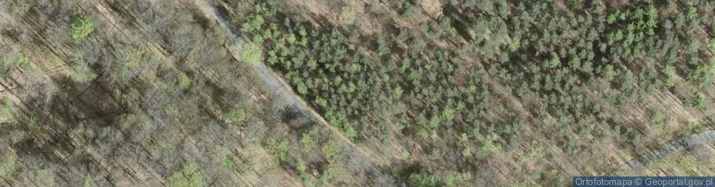 Zdjęcie satelitarne Rezerwat Wzgórze Joanny