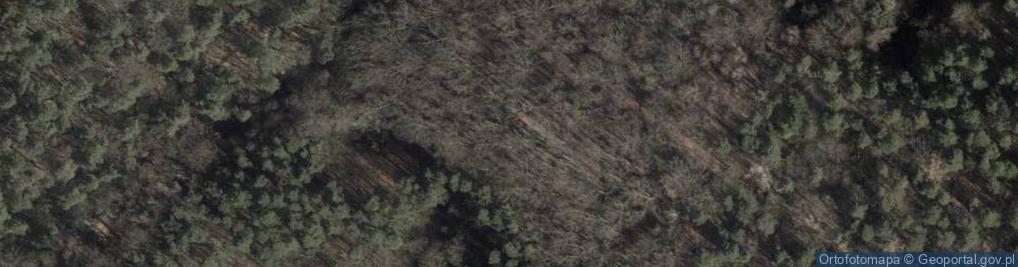 Zdjęcie satelitarne Ruchy masowe w dolinie rz. Zielonka