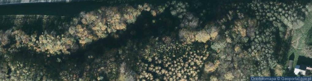 Zdjęcie satelitarne Ruiny grodu Gołęszyców