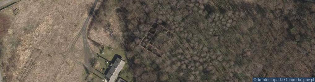 Zdjęcie satelitarne Ruiny pałacu z XVIIw.
