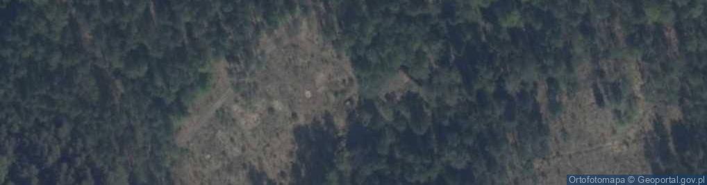 Zdjęcie satelitarne Sandr dziurawy