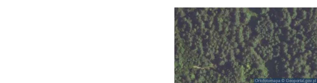 Zdjęcie satelitarne Skała Apteka na Górze Sulmów