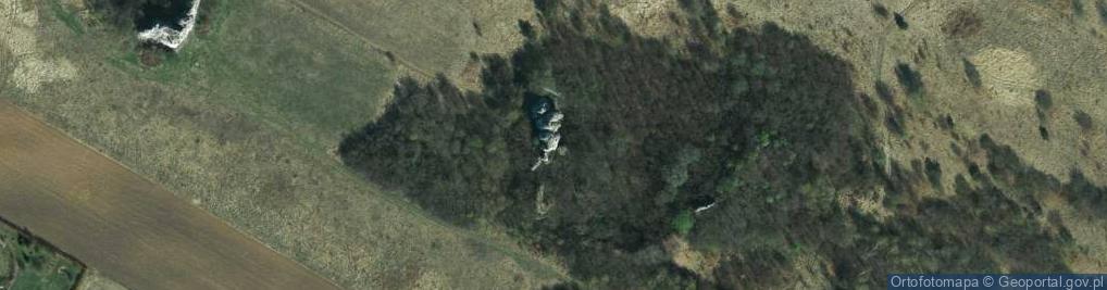 Zdjęcie satelitarne Skała Ogrodzieniec