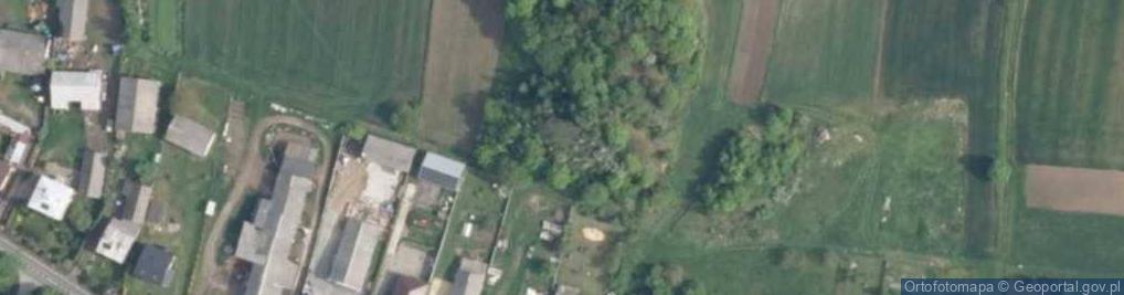 Zdjęcie satelitarne Skała Sikorowa