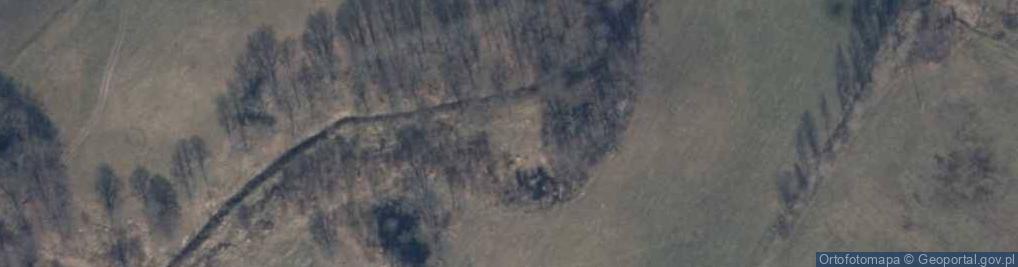 Zdjęcie satelitarne Skała wapienna