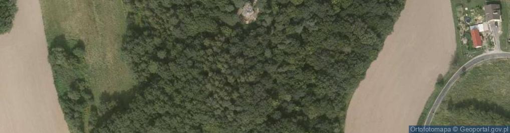 Zdjęcie satelitarne Skała z medalionem