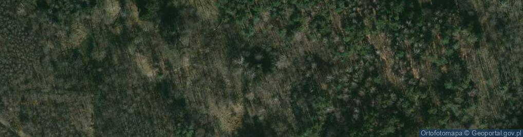 Zdjęcie satelitarne Skała Żubr