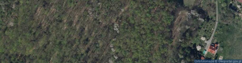 Zdjęcie satelitarne Skałka andrychowska na Pańskiej Górze