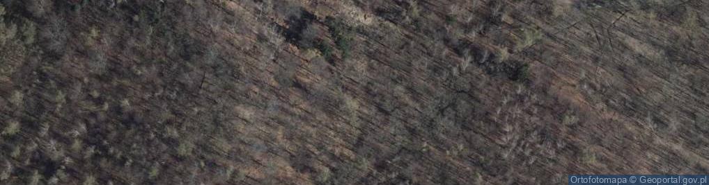 Zdjęcie satelitarne Skałka Lisi Kamień w Poniatowie