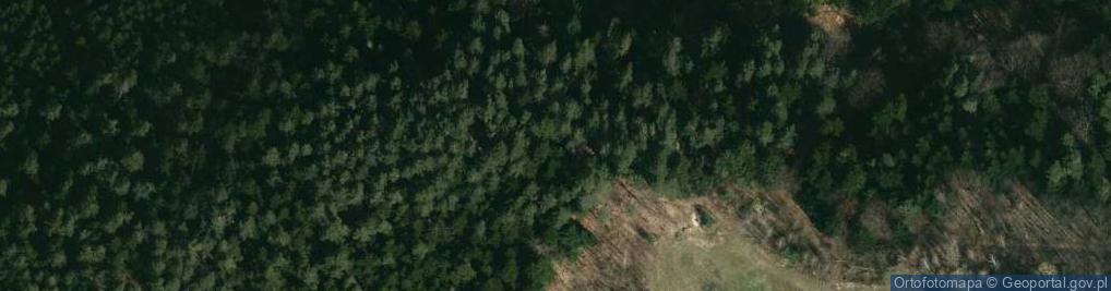 Zdjęcie satelitarne Skałki grupy boczny mur w Odrzykoniu