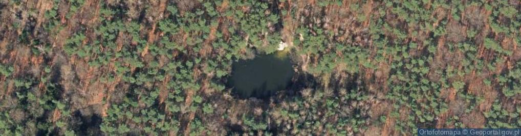 Zdjęcie satelitarne Skały kambryjskie i ordowickie w nieczynnym kamieniołomie Biesa