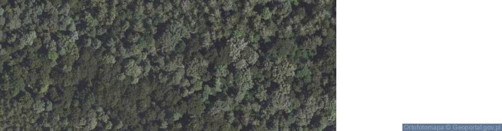 Zdjęcie satelitarne Skały piaskowcowe nad Lwówkiem Śląskim - Szwajcaria Lwówecka