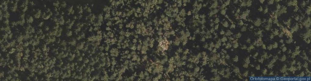 Zdjęcie satelitarne Sowie Skały