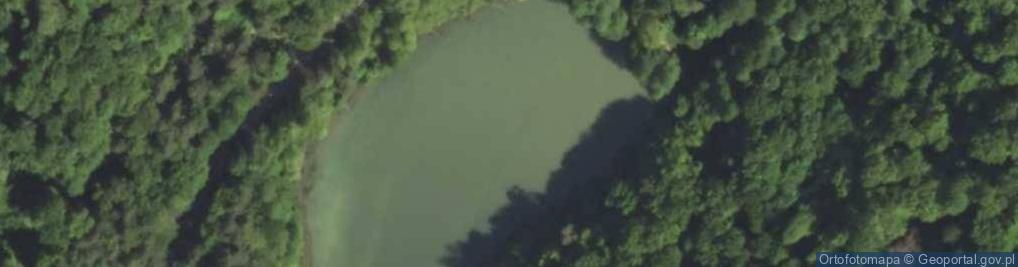 Zdjęcie satelitarne Staw zielony
