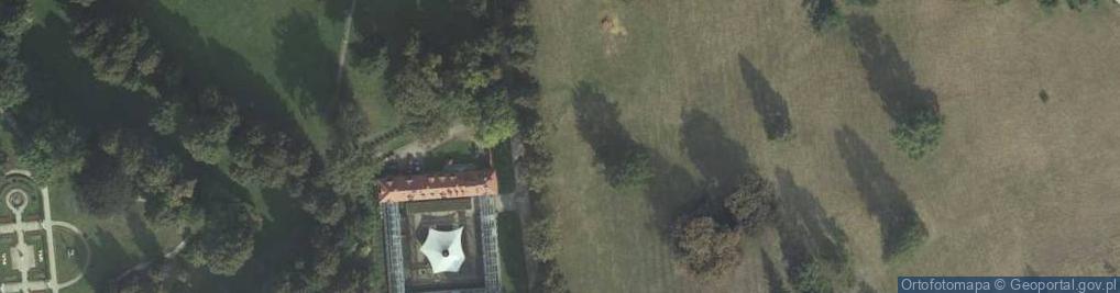 Zdjęcie satelitarne Storczykarnia