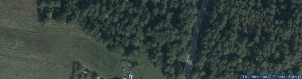 Zdjęcie satelitarne Szumy na Tanwi