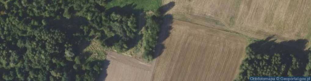 Zdjęcie satelitarne Torfowiska Ostrzeszów