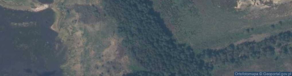 Zdjęcie satelitarne Torfowisko Wielkie Bagno