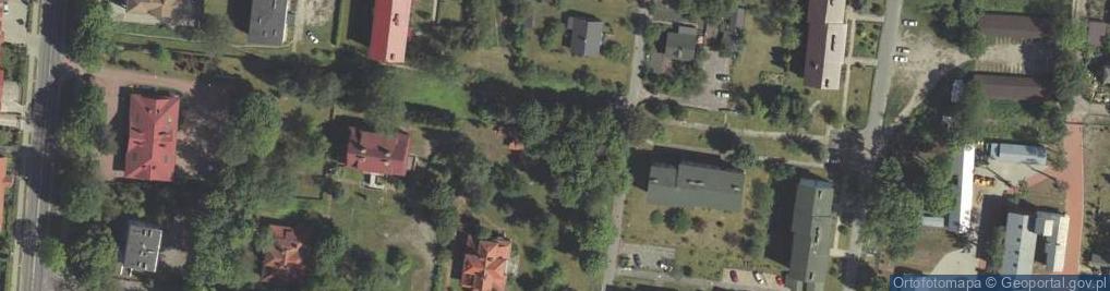 Zdjęcie satelitarne Wapienne nagrobki na cmentarzu psów