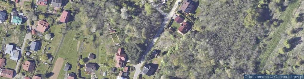 Zdjęcie satelitarne Warstwy hieroglifowe i łupki pstre