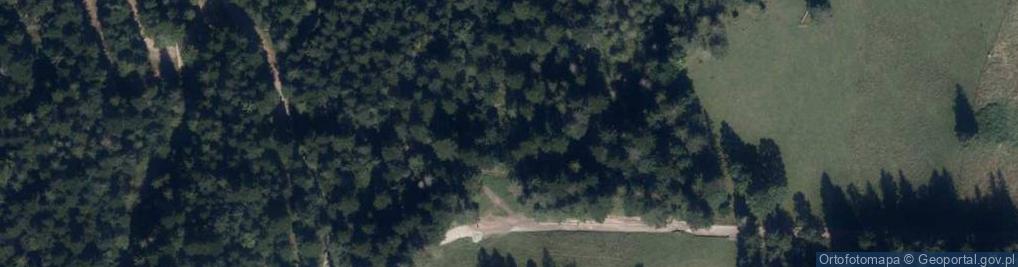 Zdjęcie satelitarne Warstwy zakopiańskie w potoku Białym