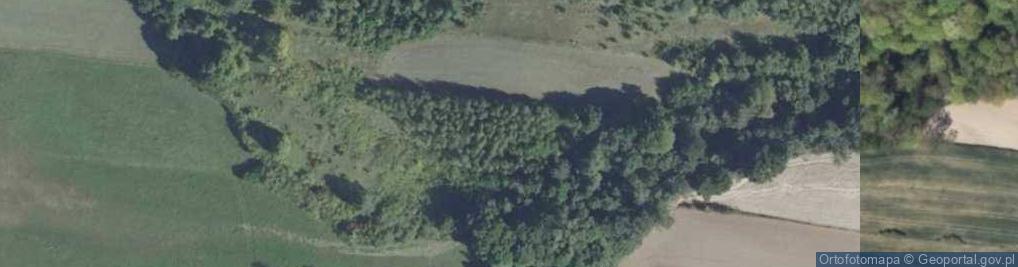 Zdjęcie satelitarne Wąwóz w Śniadce Drugiej