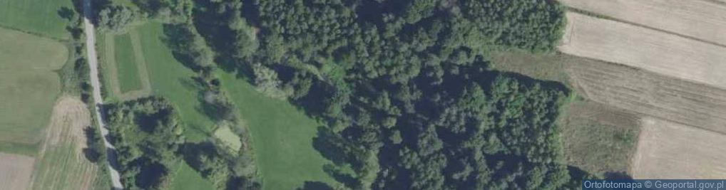 Zdjęcie satelitarne Wąwóz w Śniadce Trzeciej