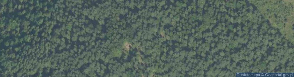 Zdjęcie satelitarne Wielki Kamień pod szczytem Góry Krzywickiej