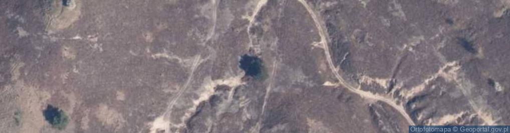 Zdjęcie satelitarne Wrzosowiska cedyńskie