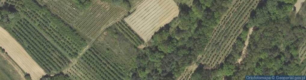 Zdjęcie satelitarne Wydma w Dobre Kolonia