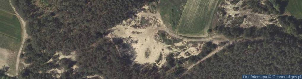 Zdjęcie satelitarne Wydmy Terasy Średniej Doliny Wisły w Kosinie