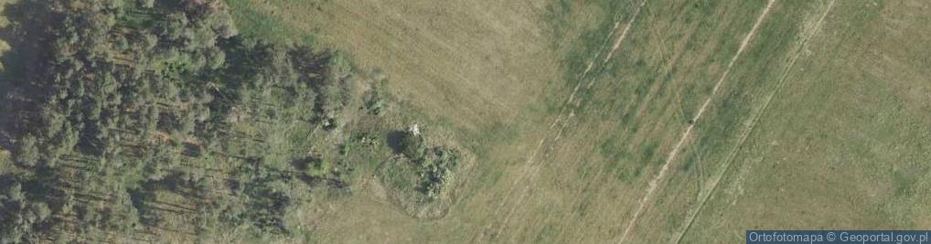 Zdjęcie satelitarne Wysoczyzna Radachowska