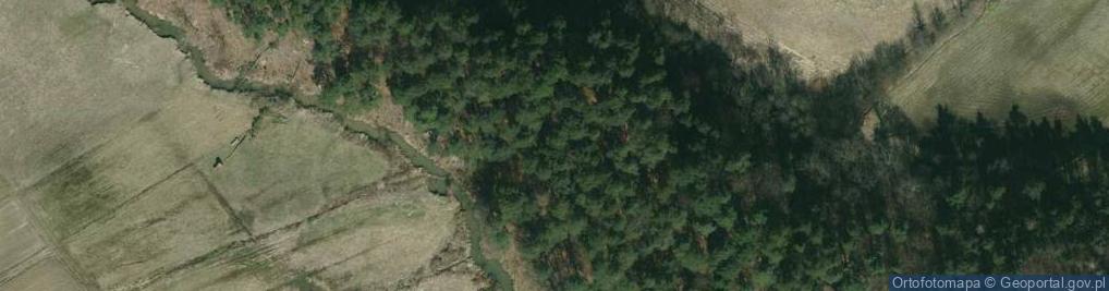 Zdjęcie satelitarne Wzgórze Kobyła