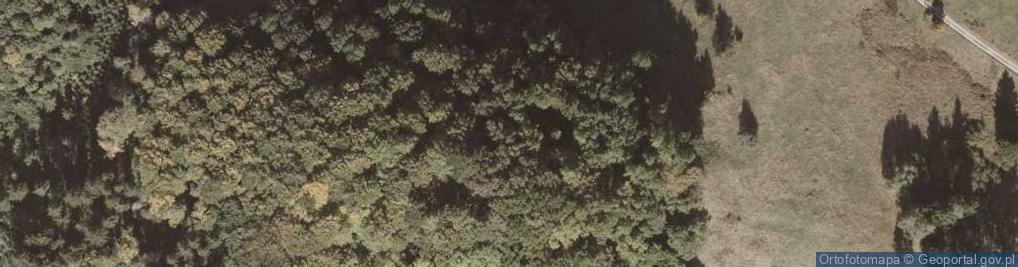Zdjęcie satelitarne Zamek Homole w Lewinie Kłodzkim