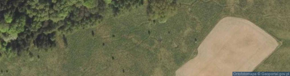 Zdjęcie satelitarne Zespół kemów w Orsach