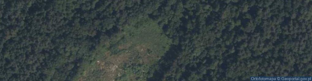 Zdjęcie satelitarne Złoże Paszkowice